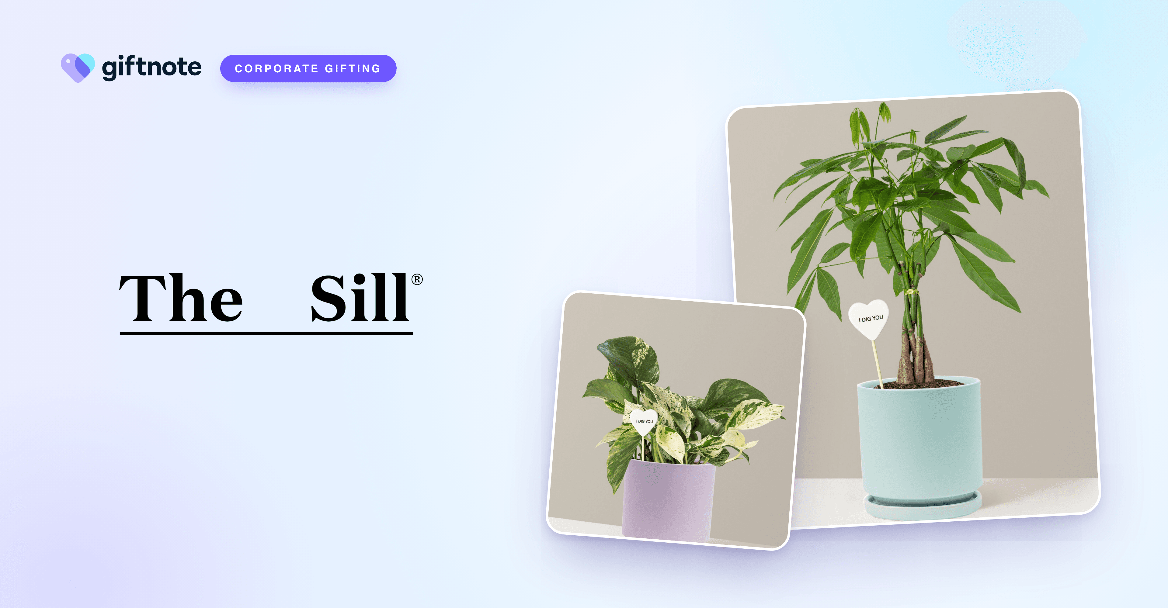 The Sill launches corporate plant gifting, powered by Giftnote