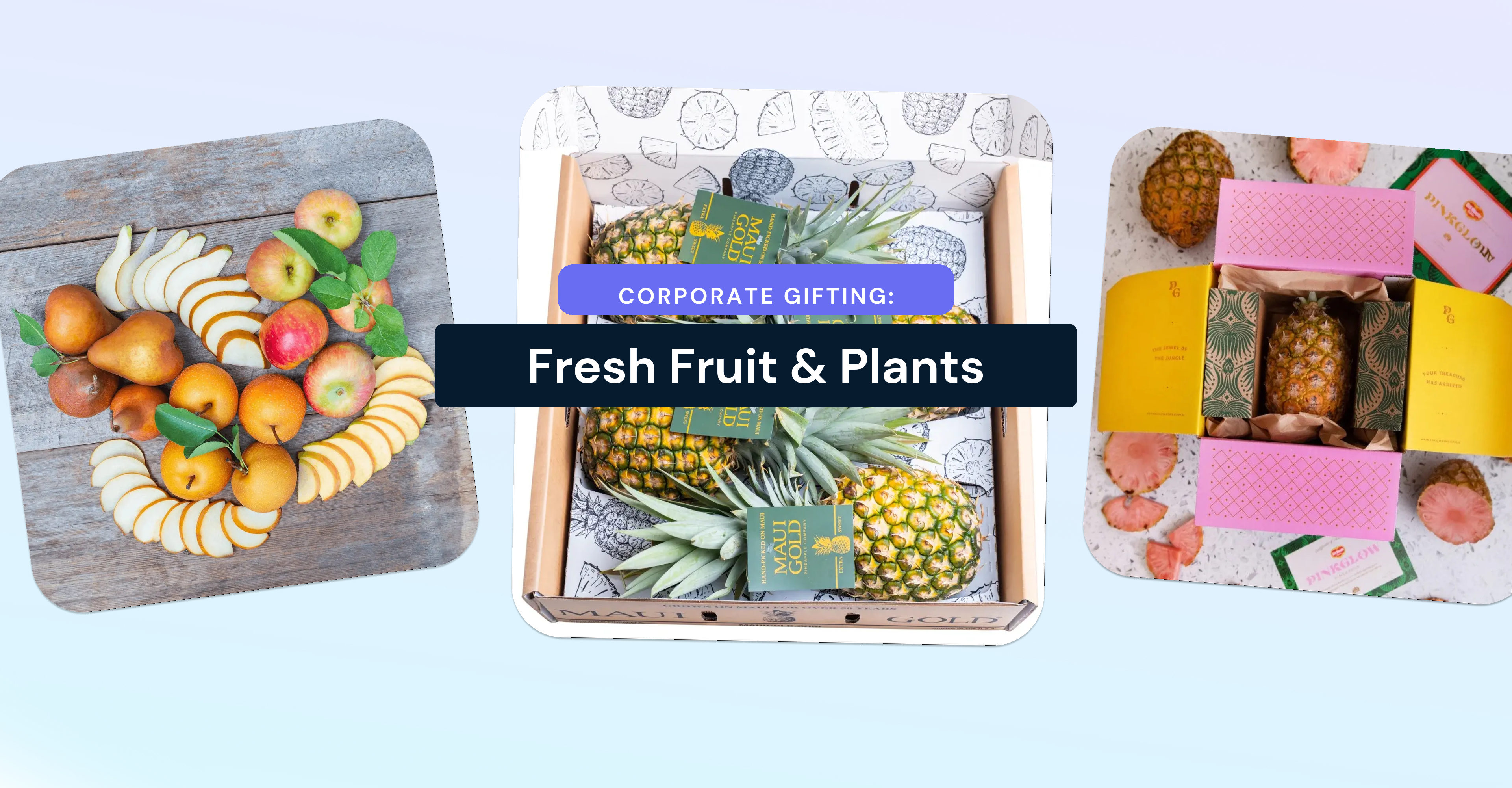 Fresh fruit and plant corporate gifts that keep giving